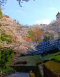 ハーモニーランドに投稿された画像（2026/4/4）