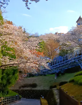 ハーモニーランドに投稿された画像（2026/4/3）