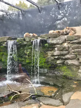 長崎バイオパークに投稿された画像（2026/4/3）