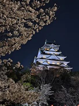 大阪城公園 西の丸庭園に投稿された画像（2026/4/3）