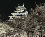 大阪城公園 西の丸庭園に投稿された画像（2026/4/4）