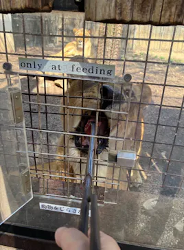 群馬サファリパークに投稿された画像（2026/4/4）