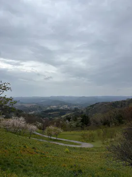 マザー牧場に投稿された画像（2026/4/4）