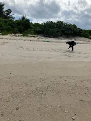 アクアラインマリンクラブに投稿された画像（2026/4/4）