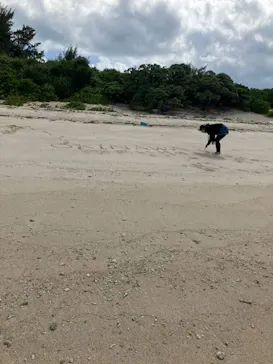 アクアラインマリンクラブに投稿された画像（2026/4/4）