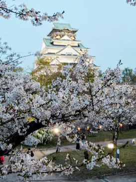 大阪城公園 西の丸庭園に投稿された画像（2026/4/4）