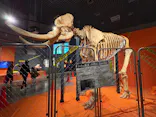 特別展「超危険生物展　科学で挑む生き物の本気」に投稿された画像（2026/4/4）
