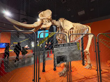 特別展「超危険生物展　科学で挑む生き物の本気」に投稿された画像（2026/4/4）