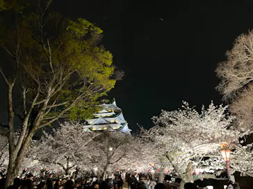 大阪城公園 西の丸庭園に投稿された画像（2026/4/4）