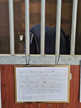 ノーザンホースパークに投稿された画像（2026/4/4）