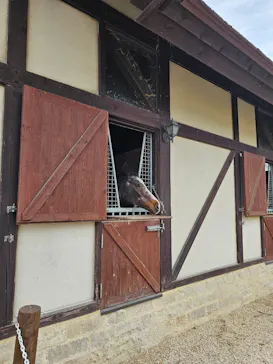 ノーザンホースパークに投稿された画像（2026/4/4）