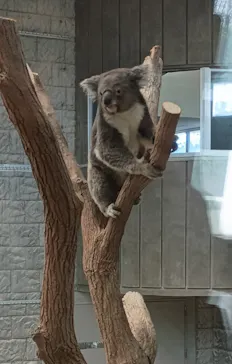 淡路ファームパーク イングランドの丘に投稿された画像（2026/4/4）