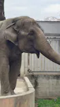 宇都宮動物園に投稿された画像（2026/4/4）