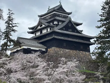 松江城に投稿された画像（2026/4/4）