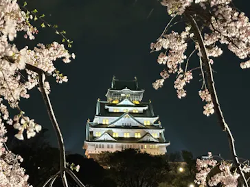 大阪城公園 西の丸庭園に投稿された画像（2026/4/4）