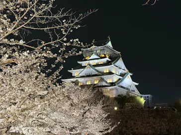 大阪城公園 西の丸庭園に投稿された画像（2026/4/4）