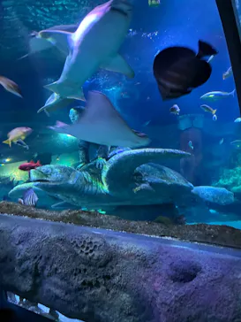 レゴランドⓇ・ジャパン・リゾートに投稿された画像（2026/4/4）