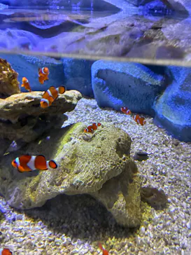 レゴランドⓇ・ジャパン・リゾートに投稿された画像（2026/4/4）