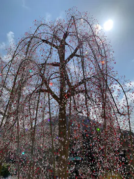 箱根ガラスの森美術館に投稿された画像（2026/4/4）
