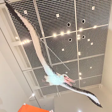 特別展「鳥 ～ゲノム解析が解き明かす新しい鳥類の系統～」に投稿された画像（2026/4/4）