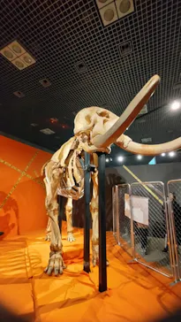 特別展「超危険生物展　科学で挑む生き物の本気」に投稿された画像（2026/4/4）