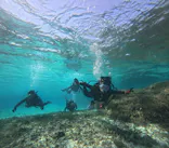 marine assist DEMI（マリンアシストデミ）に投稿された画像（2026/4/4）