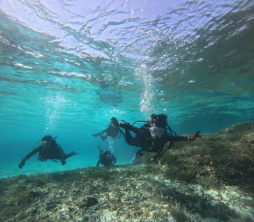 marine assist DEMI（マリンアシストデミ）に投稿された画像（2026/4/4）