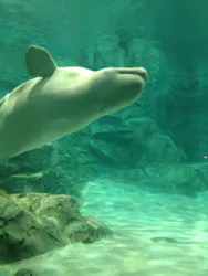 名古屋港水族館に投稿された画像（2026/4/4）