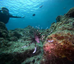 武藤潜水に投稿された画像（2026/4/4）