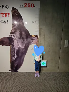 大分マリーンパレス水族館 「うみたまご」に投稿された画像（2026/4/4）