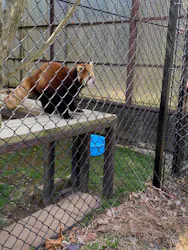 東北サファリパークに投稿された画像（2026/4/4）