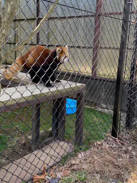 東北サファリパークに投稿された画像（2026/4/4）