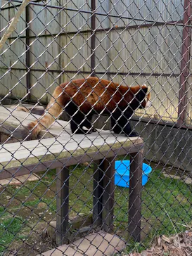 東北サファリパークに投稿された画像（2026/4/4）