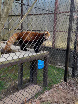 東北サファリパークに投稿された画像（2026/4/4）