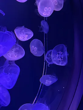 マリンワールド海の中道に投稿された画像（2026/4/4）
