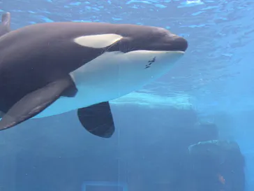 名古屋港水族館に投稿された画像（2026/4/4）