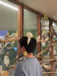 アニタッチ 東京ドームシティに投稿された画像（2026/4/4）