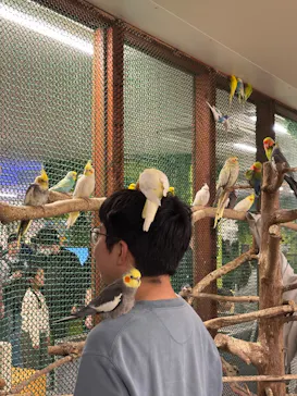 アニタッチ 東京ドームシティに投稿された画像（2026/4/4）