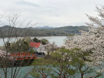 博物館 明治村に投稿された画像（2026/4/4）