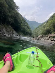 屋久島フィールド情報センターに投稿された画像（2026/4/4）