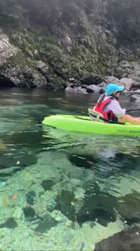 屋久島フィールド情報センターに投稿された画像（2026/4/4）