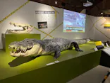 特別展「超危険生物展　科学で挑む生き物の本気」に投稿された画像（2026/4/4）