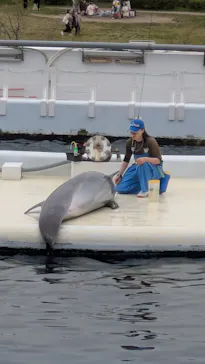 京都水族館に投稿された画像（2026/4/4）
