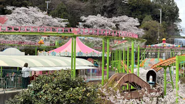 別府ケーブルラクテンチに投稿された画像（2026/4/4）