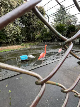 熱川バナナワニ園に投稿された画像（2026/4/4）