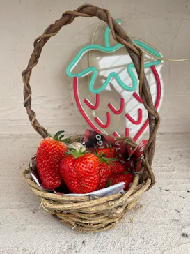 高野いちご園に投稿された画像（2026/4/4）