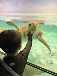 マリンワールド海の中道に投稿された画像（2026/4/4）