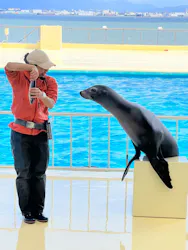 マリンワールド海の中道に投稿された画像（2026/4/4）