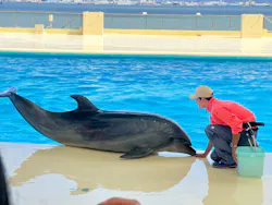 マリンワールド海の中道に投稿された画像（2026/4/4）