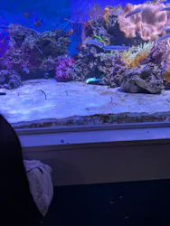 横浜・八景島シーパラダイス　プレジャーランドに投稿された画像（2026/4/4）